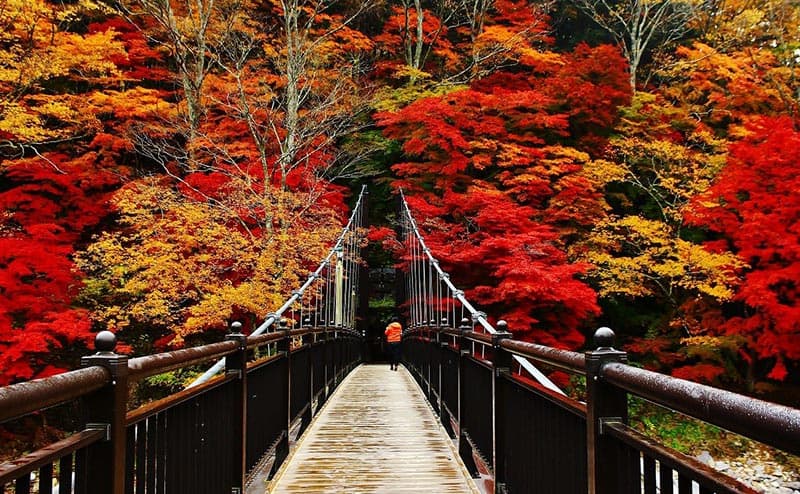 紅の吊橋