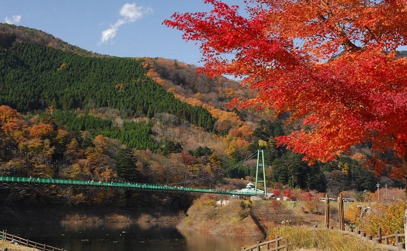 森林の駅/もみじ谷大吊橋