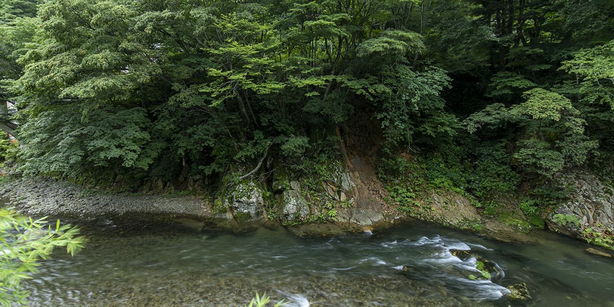 箒川の流れ